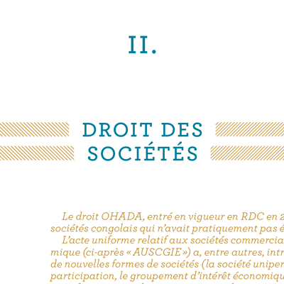 01-03-Doing-Business-in-DRC-DALDEWOLF-detail-titre Doing Business in DRC - Patrick DE WOLF - DALDEWOLF - détail - titre - Hugues de Castillo