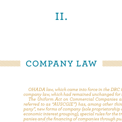 Doing Business in DRC - Patrick DE WOLF - DALDEWOLF - detail - title - Hugues de CASTILLO