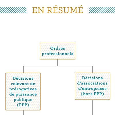 Leaflet - Regulated professions in competition law - DALDEWOLF - detail - in brief - Hugues de CASTILLO